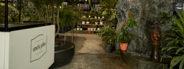 Plant Gallery